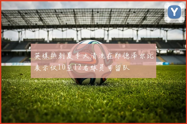 英媒热刺夏季大清洗在即德泽尔比表示仅10至12名球员可留队